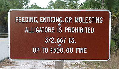 molesting Alligators Sign