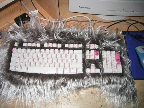 Furry keyboard - Interesting and funny videos that make you laugh at work  or at home