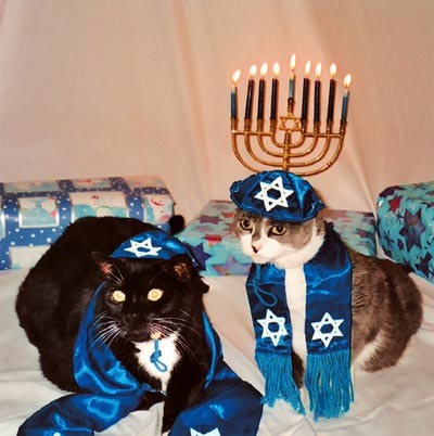 Jewish Cats