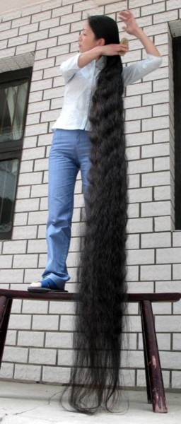 Longest hair ever