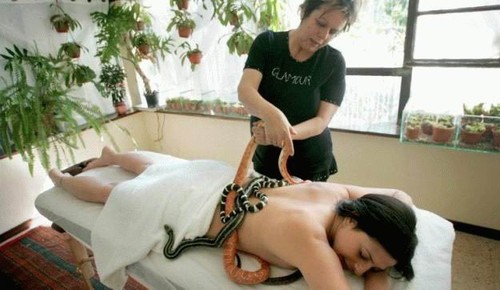 Lay back and enjoy a nice snake massage