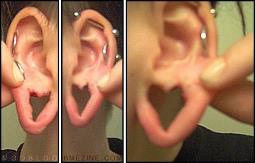 Heart gauged ear