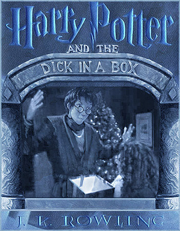 Harry Potter and the Dick in a Box