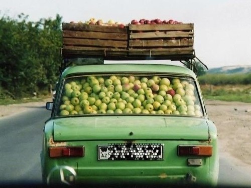 Bringin home the apples