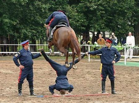 Horse jumps man