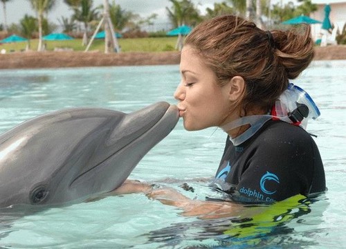 Lucky dolphin gets more action than most guys