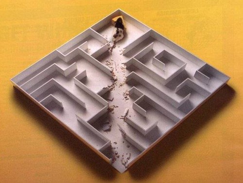 Mouse finds it's way through this maze easily for the cheese