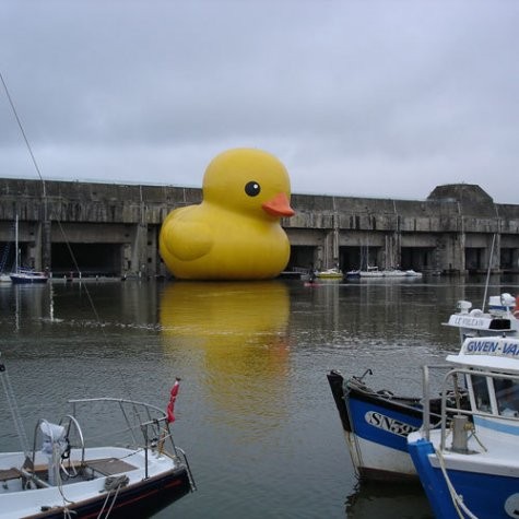 Giant rubber ducky blocks up the dam