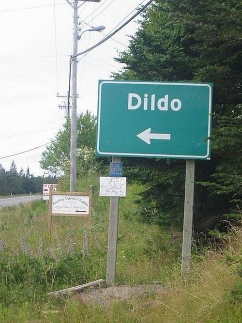 Take a vacation in the town of Dildo