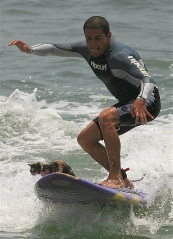 Surfing with my kitty