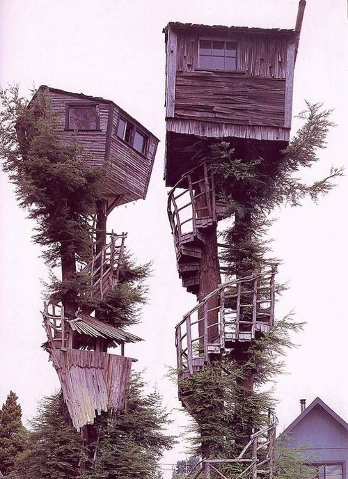 Insane treehouse