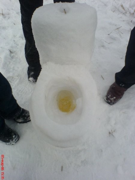 Snow toilet works just as well as a normal one