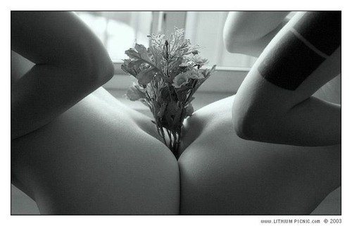 Ass Flowers