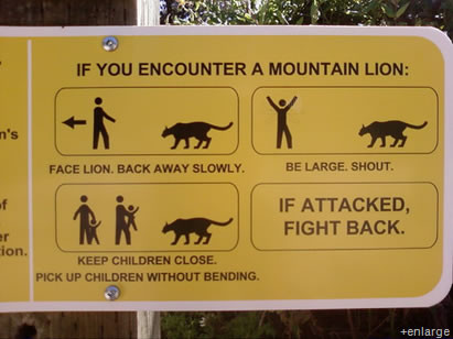Mountain Lion Instructions