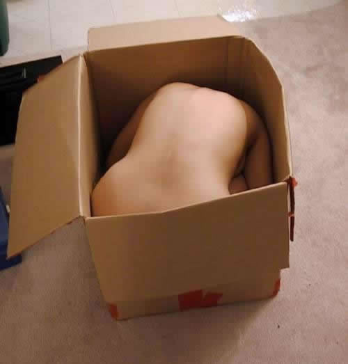 Chick In A Box