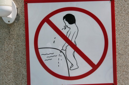 no vomiting and pissing at the same time into the pool.