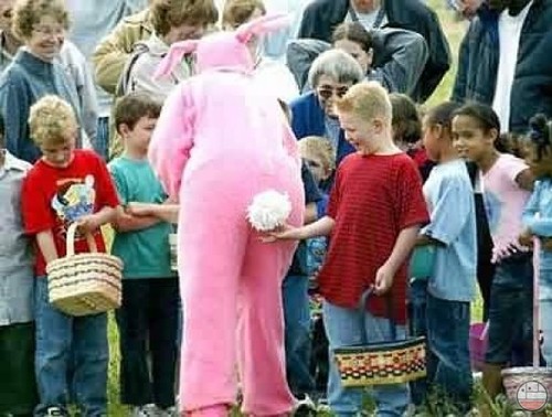 the easter bunny's gonna have to choke a bitch