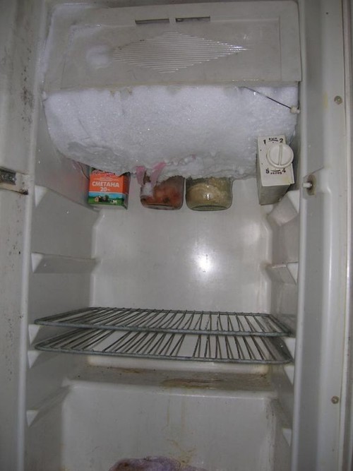 better watch out for polar bears when the freezer looks like this