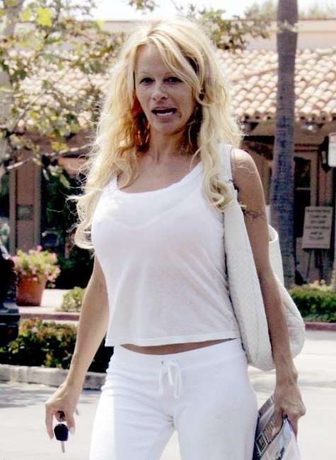 pam anderson looks like a creepy pirate wench
